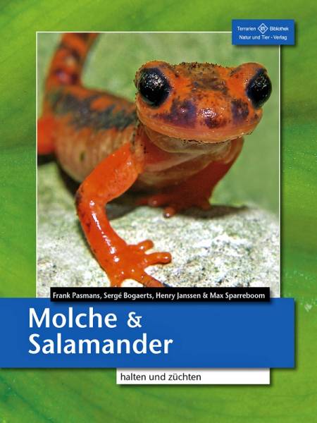 Molche und Salamander – halten und züchten